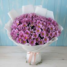 Букет цветов из:  Хризантемы в Амзя