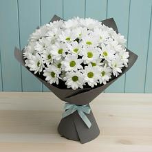 Букет цветов из:  Хризантемы в Амзя
