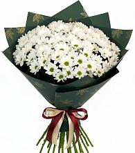 Букет цветов из:  Хризантемы #REPLACE_PRED# Амзя